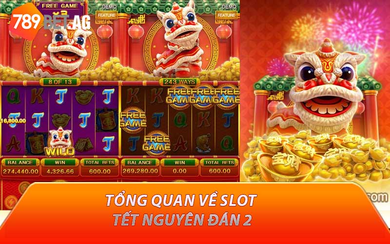 Tổng quan về slot tết nguyên đán 2