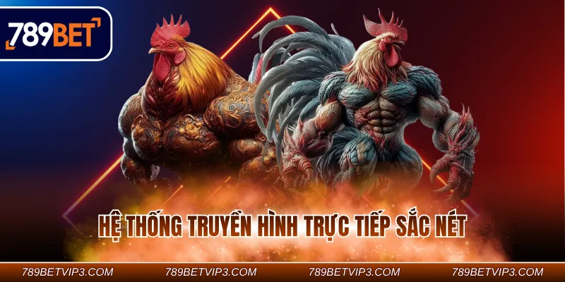 Hệ thống truyền hình trực tiếp sắc nét Hệ thống truyền hình trực tiếp sắc nét