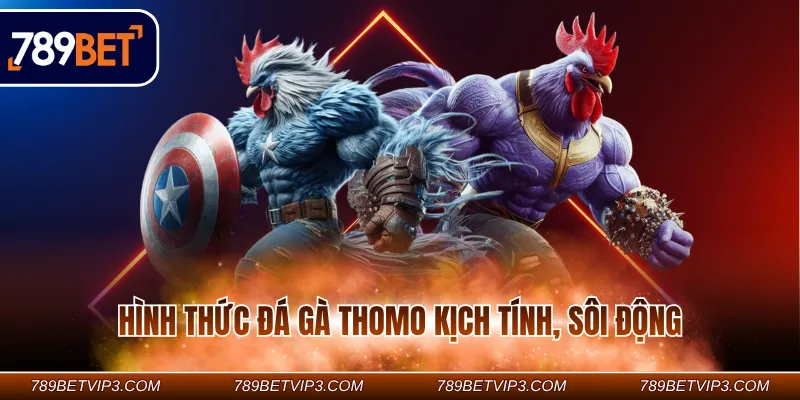 Hình thức đá gà Thomo kịch tính, sôi động Hình thức đá gà Thomo kịch tính, sôi động
